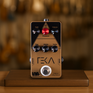 Distortion boutique signature TEKA amp in the box inspirée Dual Rectifier