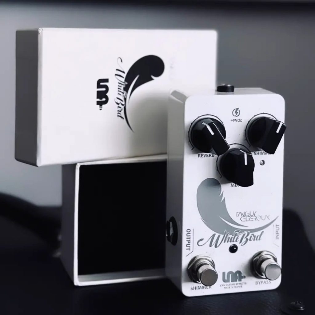 499574845_10238628857683428_1985430969766261995_n